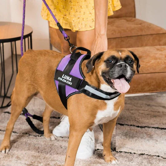 Joggypaws Essential Dog Harness