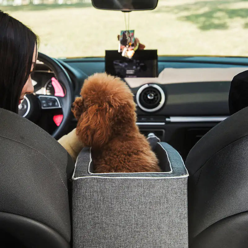 JOGGYPAWS Pet Carpool Seat